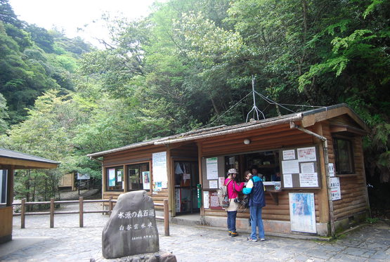 屋久島 白谷雲水峡 トレッキング