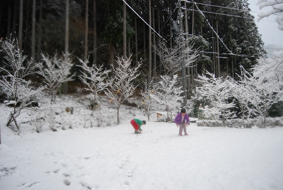 予定外の雪中キャンプ