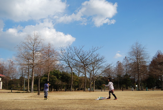 アルパカ ストーブ キャンプ