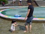 甲斐