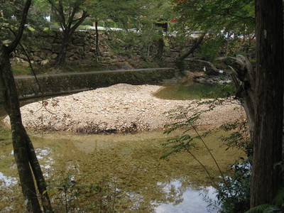 大人の野外学習!? 愛知県民の森②