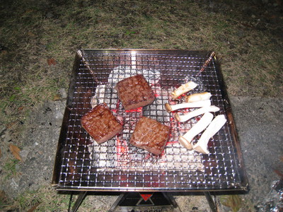 大人の野外学習!? 愛知県民の森②