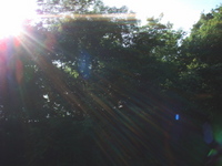 天使の梯子・・・みたいな 2008/07/13 21:23:53