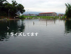［管釣り］すそのフィッシングパーク・9/2