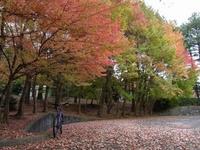 最後はなぜ・何故ポタ？ 2010/11/17 17:59:58