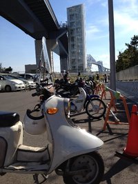 彼のお散歩＆現場調査（若洲海浜公園） 2012/08/26 18:05:37