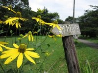 地元でキャンプ-奥新川キャンプ場 2012/08/15 22:35:00