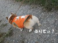いなかの風にサプライズ