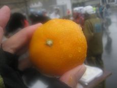 とびしまオレンジライド2012