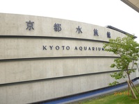京都水族館　と　最近の事　（小ネタまとめました・・・）
