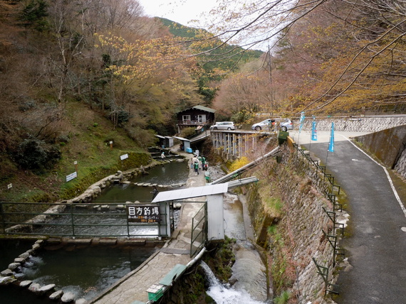 千早川マス釣り場