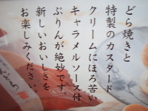 カオレｄｅキャンプ＆馬瀬川花火大会
