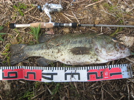■まさかまさかの・・・・・■