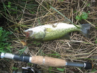 ■物事はいつも偶然から・・・■ 2009/08/08 22:37:59