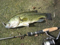 ■粘り勝ち!?■ 2009/08/12 22:59:41