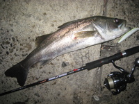 ■Ｃ－ＢＡＳＳ■ 2010/09/27 22:27:51
