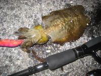 ■ドコでもイーカ??■ 2010/10/01 19:23:57