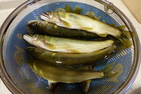 頂き物 2012/06/30 11:56:22