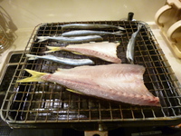 一夜干し 2013/11/09 23:53:23