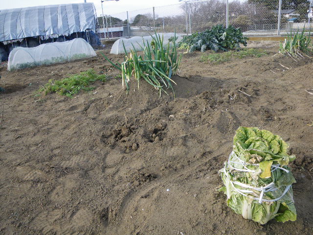 「農作業は休暇中です｡」