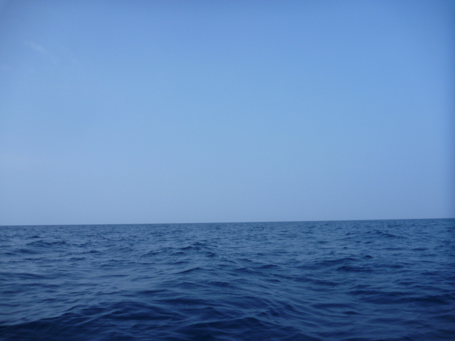 ～60浮遊目～