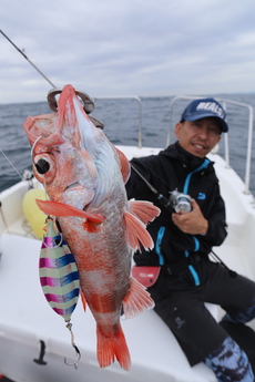 浜名湖沖アカムツ。 2016/10/15 10:31:39