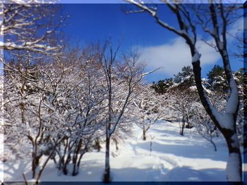 ぶらぶら　山歩き