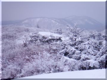 ぶらぶら　山歩き