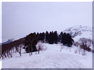 3月1日 氷ノ山 ﾚﾎﾟ