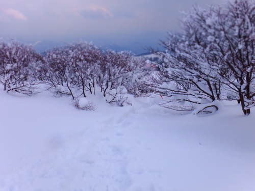 平成２７年２月１１日の那岐山