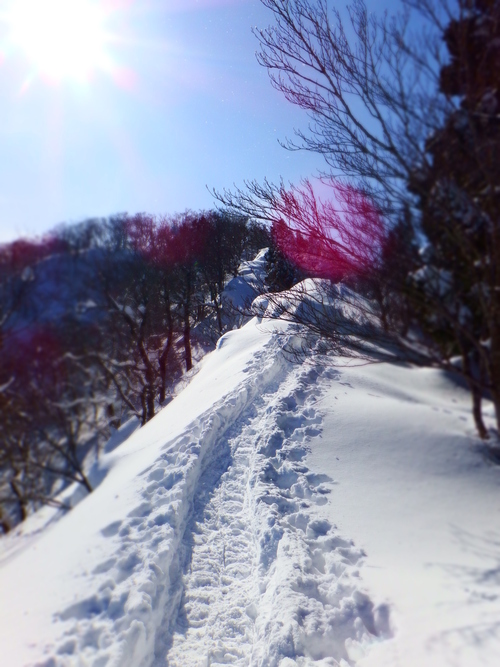 平成２７年２月２１日氷ノ山