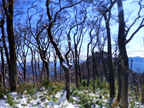 三室山～竹呂山縦走