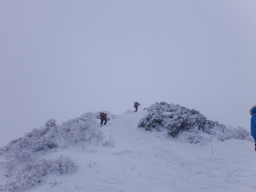 1月31日の大山