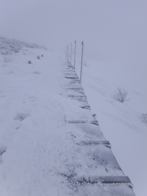 1月31日の大山