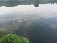 05/08朝練 2015/05/08 09:09:21