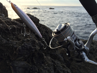 南紀へ2015〜その2〜 2015/09/04 10:13:30