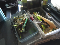 04/30朝練 2015/04/30 08:18:01