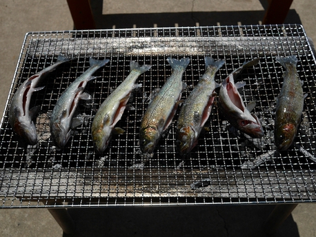 田貫湖キャンプ場