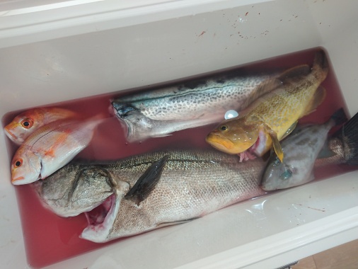 お魚求めて♪♪