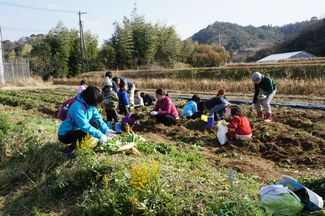 収穫祭2013冬