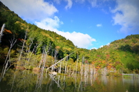 ☆御嶽自然湖紅葉カヌー