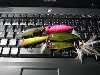 梅雨入り 2008/06/02 21:31:09