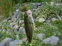 宇治拾遺物語 2008/09/15 22:49:12