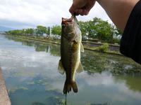 爆風琵琶湖釣行 2009/05/27 01:32:43