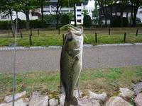琵琶湖トホホ釣行 2008/08/26 23:37:44