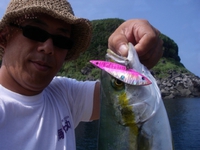 ショアヒラマサ。 2013/08/17 18:04:09