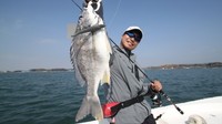 キビレ。 2013/03/31 22:03:30