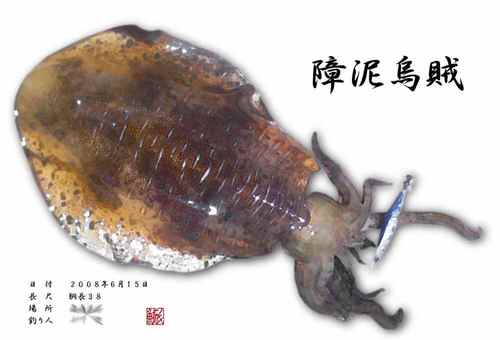 素人ルアーマンの暇つぶし ハイテク魚拓