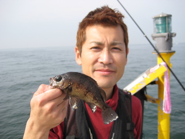 愛知県南知多町日間賀島・中洲漁港　釣行記　2010/4/19