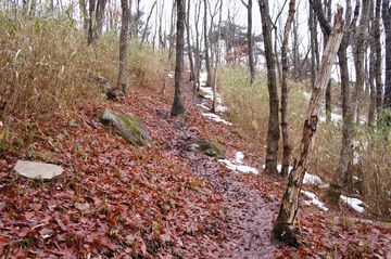 リベンジ段ヶ峰